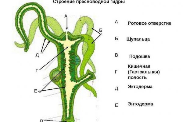 Кракен сайт store