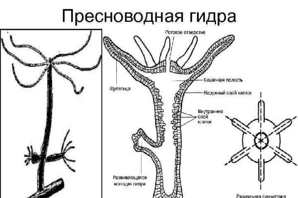 Кракен kr2web in магазин